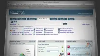 Cognito: Social Media Analytics