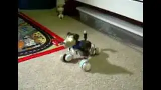 Zoomer 2.0 Interactive Puppy - 