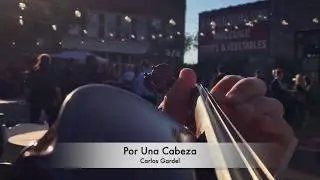 Dockside Strings - Solo Violin Traditional Cocktail Hour Favorites