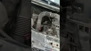 не заводится Мерседес спринтер 646 мотор би турбо , Не гудит насос !