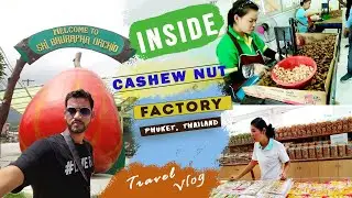 THAILAND Travel : Inside A Cashew Nut Factory In Phuket, Thailand | Thailand Tourism