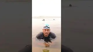 early morning swimming llis live