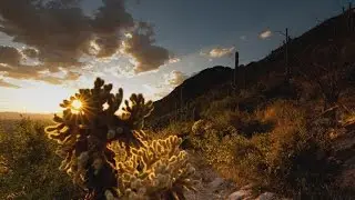 The Sonoran Desert Conservation Plan (short version)