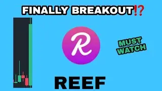 REEF COIN NEXT BREAKOUT TARGET‼️ REEF BIG PRICE UPDATE‼️ REEF LISTING ON BITGET