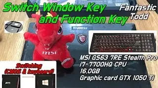 MSI _GS63 7RE_Swap the key (FN & Win key)