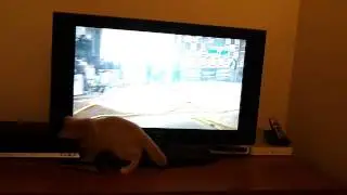V&iacute;deo0010