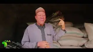 KSADP Rice value chain success stories Episode 1