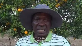 Meet the Zimbabwean woman who survives by planting and selling trees