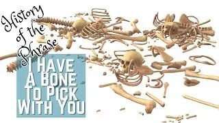 I Have a Bone to Pick with You -Idioms | History of the Phrase with Meanings
