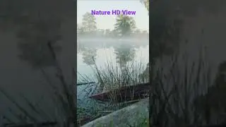 No Copyright amazing Nature footage(CopyrighFree Cinematic Nature HD background)Nature Stock footage