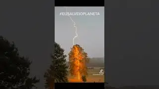 Amargedom fim do planeta Ra&ccedil;a Humana gan&acirc;ncia e Ambi&ccedil;&atilde;o #EUSALVEIOPLANETA #ALLSHARE