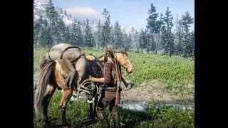Red Dead Redemption 2 - Trader Role, Big Valley Hunting Spot, and Resupply Missions