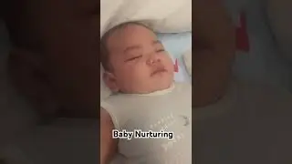 Baby Nurturing