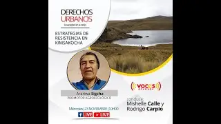 Estrategias de Resistencia en Kimsakocha