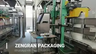 50kg crystal sugar fully automatic packaging line, 720bags per hour