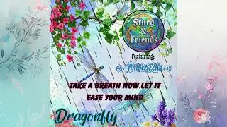 Sturg and Friends - Dragonfly Feat. @Echobetweentherealms and Maxwell Sancho Llyric video