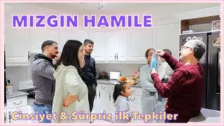 MIZGIN HAMILE 🐣 ILK TEPKILER 🎉 CINSIYET 👦🏼 👧🏼