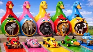 Long Slide Game With Elephant Gorilla Buffalo Hippopotamus Tiger - 3d Animal Game - Funny 3d Animals