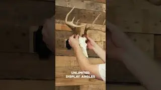 Product Demo | European Skull Mount Clamp