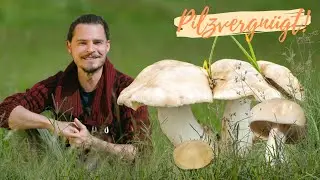 Der MAIPILZ im Portrait 🧐 schmackhafter Fr&uuml;hlingspilz, t&ouml;dliche Verwechslungspartner und Standorte