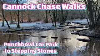Cannock Chase Winter Walk: Punchbowl Car Park to Stepping Stones