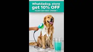 Get your's today at WhatDaDog.store and get free shipping AND 10% off your first order!!