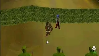 Rainyscape Cops and Robbers!