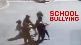 Reality Check: Back To School Brawl