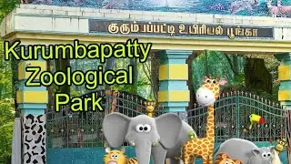 Kurumbapatty Zoological Park Salem 2025 | சேலம் குரும்பப்பட்டி உயிரியல் பூங்கா | #animals #zoo