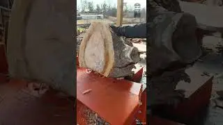 The Best Chainsaw On The Market    #wood