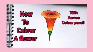 oleander flower drawing || easy way to draw flowers || easy drawing tutorial for beginners||#viral