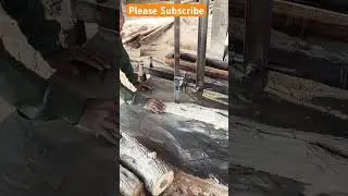 Firewood cutting process #rosewood #wood #wheelsaw #carpentry #sawblade #woodworking #bridgesaw