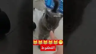 🤣🤣🤣🤣🤣🤣🤣🤣🤣🤣😹😹😹