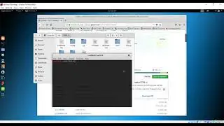Installing and configuring Veil Framework #Udemy