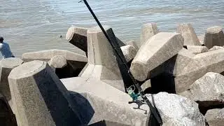 Muchos Dorados isla paulino