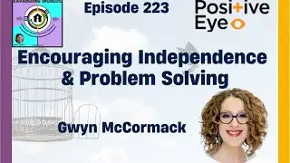 223 Encouraging Independence & Problem Solving with Gwyn McCormack from Positive Eye