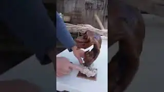 Primal Birth - Root Sculpture