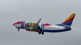 Missouri One Taking Flight &ndash; Southwest Airlines 737-700 Departure at HOU (2024)