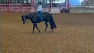 Youth Bareback Horsemanship Texas Appaloosa Horse Club (World Show Warm Up)2025
