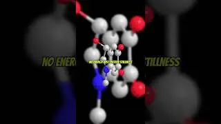 Can You Touch 0 Kelvin?#AbsoluteZero #ScienceFacts #CoolScience #SpaceTemperature #ShortsScience
