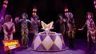 'Old Gumbie Cat' &ndash; Circus-Inspired 'CATS' at Paramount Theatre
