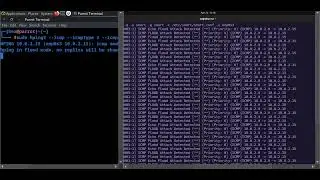 Mastering Network Security: Installing SNORT and Detecting ICMP Attacks