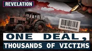 Mercosur: The Geopolitical 'Meat Grinder' Devouring Our History