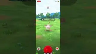 Shiny check day 2 #mobilegame #pokemon #pokemongo