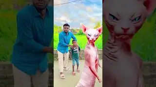 Raju and his brother are dancing with a cat 🐈😁 #shorts #funny #comedy #trendingshorts