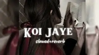 Koi Jaye To Le Aaye (Slowed + Reverb Trap Mix) &ndash; Ghatak (1996) | Bollywood Lofi Hip-@lofimusicanand 