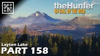 The Hunter: Call of the wild CZ | Plnění úkolů na Layton Lake - #158 | Česky