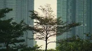 I found meaning in the frames I captured. Saigon, a beautiful sunny afternoon.