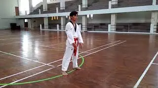 Belajar Taekwondo #1 Sikap, Kuda-kuda, dan Tangkisan (Dasar)