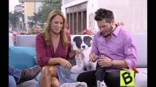 Brav&iacute;ssimo entrevista a oscar ivan casta&ntilde;o | Brav&iacute;ssimo